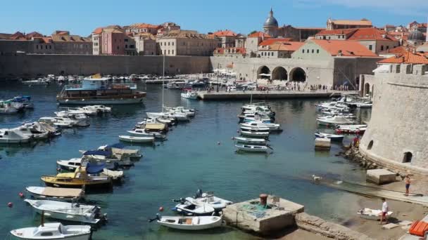 Dubrovnik Kroatien August 2022 Stadthafen Sommer Touristenattraktion Touristen Gehen Fuß — Stockvideo