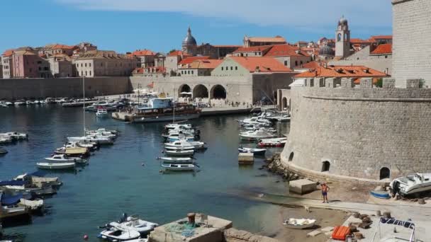 Dubrovnik Kroatien Augusti 2022 Stadshamn Sommaren Turistattraktion Turister Komma Båtar — Stockvideo