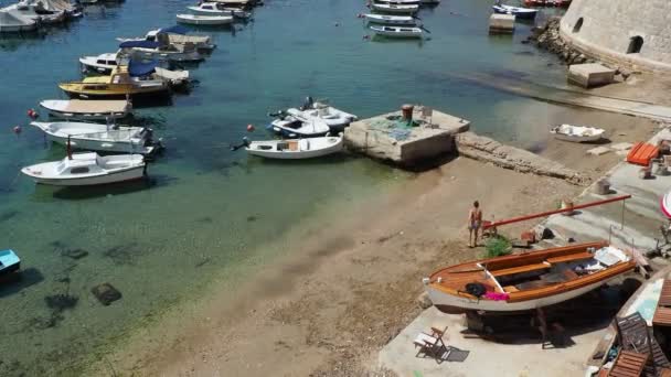 克罗地亚杜布罗夫尼克 2022年阳光明媚的城市港口 旅游胜地 亚得里亚海女人扔棍子玩狗的把戏 当地居民的私人船只 游泳和日光浴 — 图库视频影像