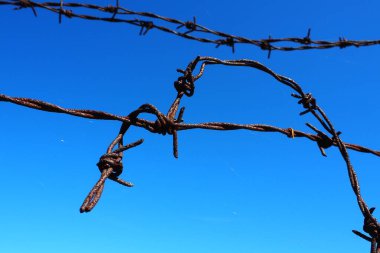 Dikenli tel, tel, dar metal şerit, üzerinde sivri dikenler var, bariyerler yapmak için kullanılır. Mavi gökyüzüne karşı paslı dikenli tel. Savaş konsepti, hak ve özgürlüklere kısıtlamalar