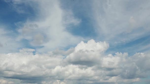 Cumulus Movimento Rápido Cirrostratus Stratocumulus Nuvens Contra Céu Azul Cloudiness — Vídeo de Stock
