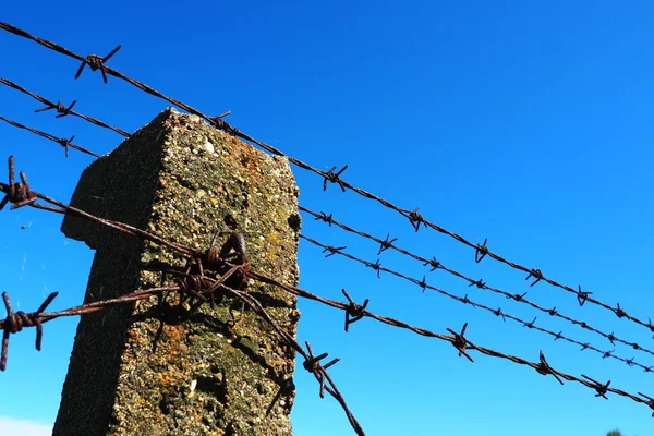 Barbed wire, double wire, metal tape with sharp spikes for barriers. Rusty barbed wire against the blue sky. The concept of war, restriction of rights and freedoms. Concrete pillar