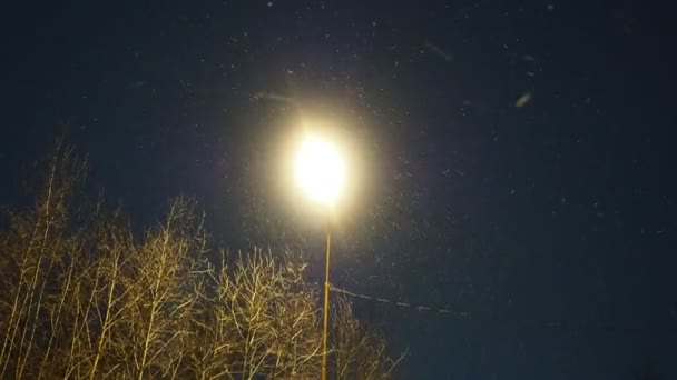 Ночь Фонарь Снег Уличная Лампа Снежную Ночь Городская Инфраструктура Ночное — стоковое видео
