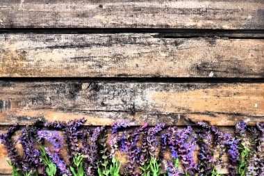 Ahşap bir masa üzerinde lavanta ve adaçayı çiçekleri. Mor ve mavi çiçekleri ve kenarlarında yaprakları olan eski ve koyu renkli tahtalardan oluşan yatay tahtalar. Durgun bir hayat ve düz bir hayat. Metin için boş kopyalama alanı. 