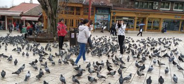 Saraybosna, Bosna-Hersek, 8 Mart 2020, insanlar Saraybosna 'nın merkez sokaklarında güvercinleri besleyerek yürüyor. Bascarsija ve kare. İslami işaretler ve turistik yerler. Kuşlar kaldırımda yürür.