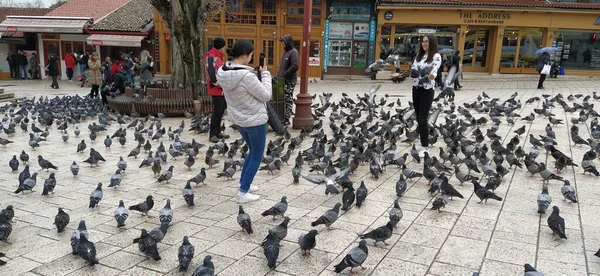 stock image Sarajevo, Bosnia and Herzegovina, March 8, 2020, people walk the central streets of Sarajevo feeding pigeons. Bascarsija and square. Islamic landmarks and tourist sites. Birds walk on the pavement.