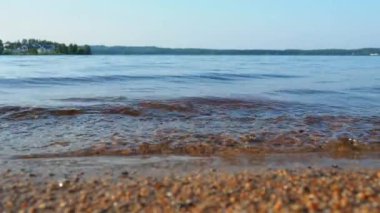 Calm waves roll over the sandy shore. Water movement. Tourist paradise.  Karelia, Salmon lake in July in the evening. Golden hour, sunset. The coast of Lake Lososinnoye natural and recreational area.