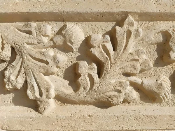 Ornament Sculptural Drawing Structured Plant Elements Decorating Wall Stucco Dubrovnik —  Fotos de Stock