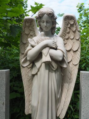 An angel with a dove. Sculpture in the cemetery. The figure of an angel with wings holding a bird in his arms. Lamentation for the deceased. Headstone monument on a Christian grave. Sadness sorrow