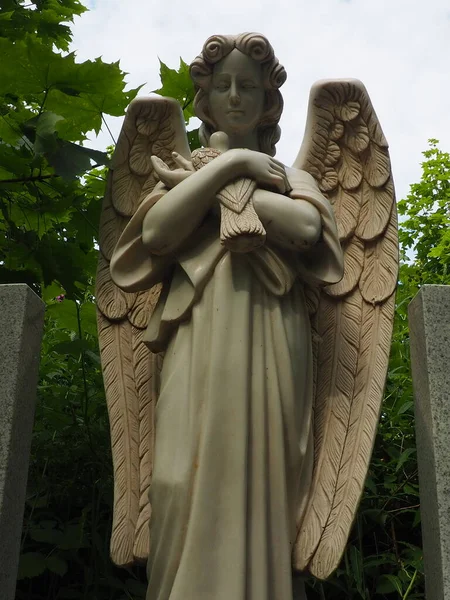 An angel with a dove. Sculpture in the cemetery. The figure of an angel with wings holding a bird in his arms. Lamentation for the deceased. Headstone monument on a Christian grave. Sadness sorrow
