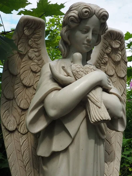 Angel Dove Sculpture Cemetery Figure Angel Wings Holding Bird His — Foto Stock