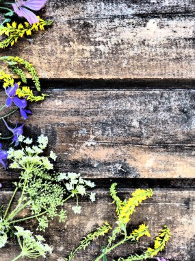 Multicolored wildflowers are arranged in a circle on a wooden table background. Chamomile, sweet clover, wild geranium, bluebells, parsley inflorescences. Horizontal boards. Romantic Provence style.