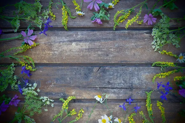 Multicolored Wildflowers Arranged Circle Wooden Table Background Chamomile Sweet Clover — 스톡 사진