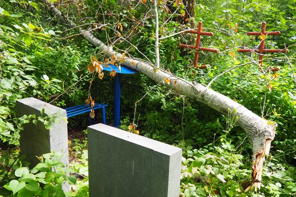 Tree Fell Monument Grave Cemetery Crosses Headstones Cutting Removal Trees — Stockfoto