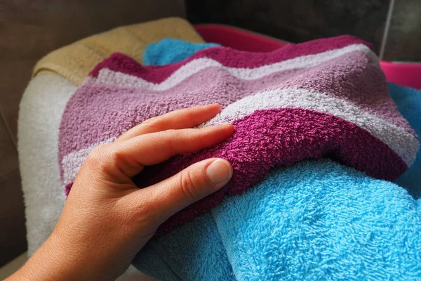 A womans hand is feeling a cotton colored towel from a basket with dirty laundry. Laundry sorting and washing. Laundry room or bathroom. Housekeeping. Pink and blue terry towels