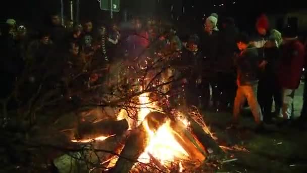 Sremska Mitrovica January 2022 Burning Sacred Oak Tree Stake Front — 图库视频影像