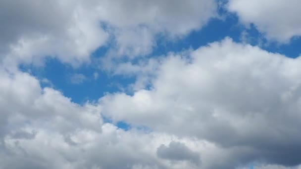 大気と成層圏 高速で移動する積雲 円状の状態 青い空に対する層状の雲 気候の変化 天使の綿の雲 強い風とギザギザの雲 経過時間 — ストック動画