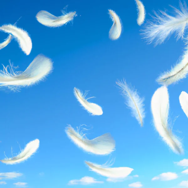 Fluffy white feathers falling down in a blue sky. Feather floating freedom concept. Flying feathers and light white clouds against the blue sky. Soft airy swan down. Clouds and sunshine.