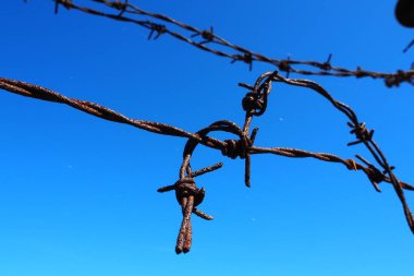 Dikenli tel, tel, dar metal şerit, üzerinde sivri dikenler var, bariyerler yapmak için kullanılır. Mavi gökyüzüne karşı paslı dikenli tel. Savaş konsepti, hak ve özgürlüklere kısıtlamalar