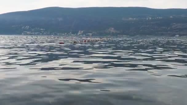 Игало Херцег Нови Монтенегро Морской Отдых Лодки Плавают Адриатическому Морю — стоковое видео