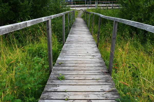 Old Wooden Suspension Bridge Swampy Ditch Tall Green Grass Road — Fotografia de Stock