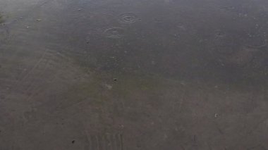 Yağmur damlaları yola düşer, asfalt ya da beton yüzeye. Sert beton levha. Şiddetli yağmur. Şehirde kötü hava var. Düşen damlalardan dolayı suyun üzerinde daireler çizer