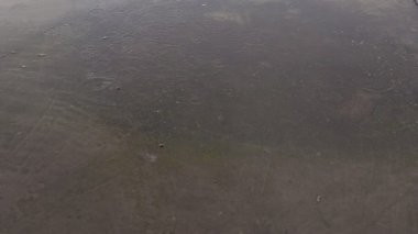 Yağmur damlaları yola düşer, asfalt ya da beton yüzeye. Sert beton levha. Şiddetli yağmur. Şehirde kötü hava var. Düşen damlalardan dolayı suyun üzerinde daireler çizer