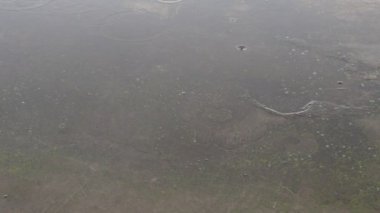 Yağmur damlaları yola düşer, asfalt ya da beton yüzeye. Sert beton levha. Şiddetli yağmur. Şehirde kötü hava var. Düşen damlalardan dolayı suyun üzerinde daireler çizer