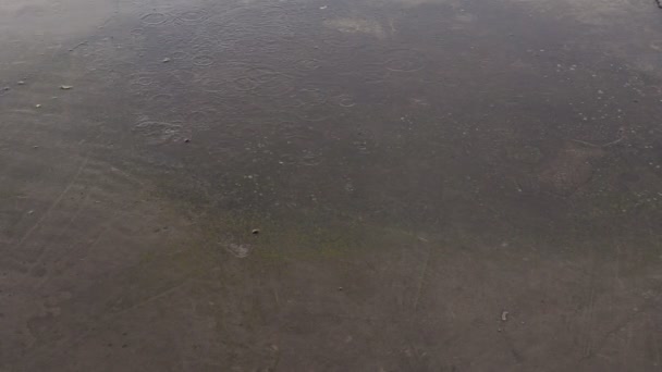 雨点落在道路 沥青或混凝土表面 粗糙的混凝土板 城市的坏天气 从落下来的水滴中产生的水圈 — 图库视频影像