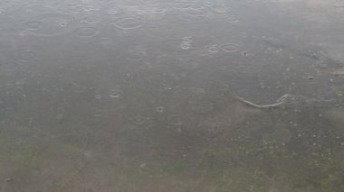 Yağmur damlaları yola düşer, asfalt ya da beton yüzeye. Sert beton levha. Şiddetli yağmur. Şehirde kötü hava var. Düşen damlalardan dolayı suyun üzerinde daireler çizer