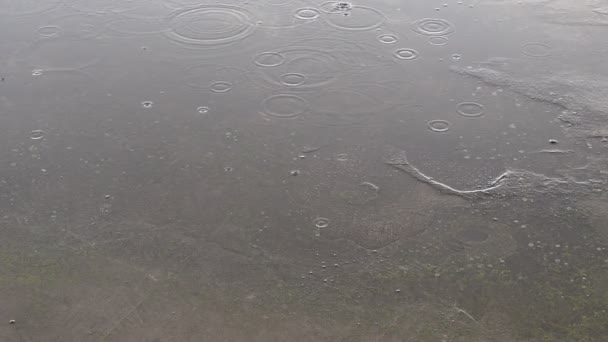 Дощі Падають Дорогу Асфальт Або Бетонну Поверхню Груба Бетонна Плита — стокове відео