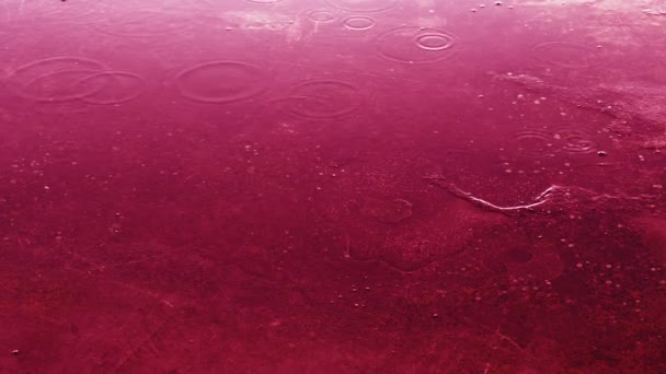 Diperkuat Warna Magenta Merah Muda Konsep Ekologi Curah Hujan Asam — Stok Video