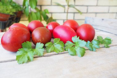 Paskalya renkli yumurtalar ahşap arka planda yakın plan. Kırmızı ve kahverengi kabuklu haşlanmış tavuk yumurtaları, geleneksel tariflere göre soğan kabuğuyla boyanmış. Masada taze yeşil maydanoz yaprakları var.
