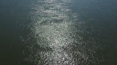 Sudaki dalgalanmalar. Güneş ışınları denizin yüzeyine düşer ve rastgele yansıtılır. Sırbistan 'ın Sava nehri üzerinde güneşli bir yol. Bir denizin, gölün ya da nehrin su yüzeyi. Işık parlaması. Turizm