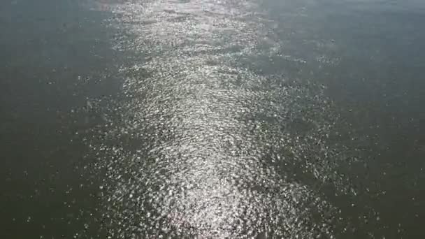 Sudaki Dalgalanmalar Güneş Işınları Denizin Yüzeyine Düşer Rastgele Yansıtılır Sırbistan — Stok video