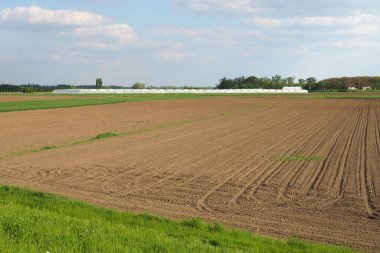 Pürüzlü tarla, traktörün geçişinden sonra soldaki izler. Tarım, nüfusa yiyecek sağlamak. Bahar tarım işi. Macvanska Mitrovica, Sırbistan. Seralar.
