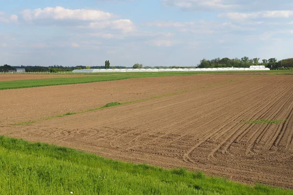 Plowed Field Furrows Left Passage Tractor Agriculture Providing Population Food — Stock Photo, Image