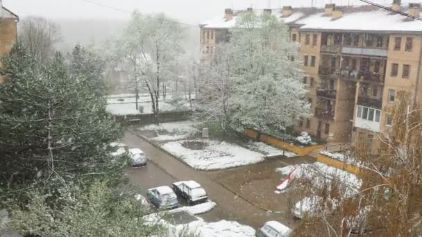Sremska Mitrovica Service April 2023 春には豪雪と吹雪 新鮮な芽の凍結 複数階建ての住宅ビル 捨てられた庭 大きな雪片が飛んで回転する — ストック動画