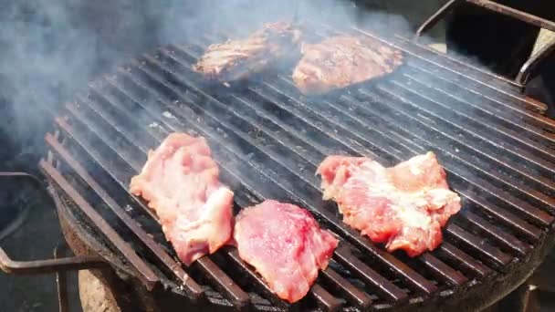 Grilled Juicy Meat Pork Steaks Burning Coals Barbecue Grill Flames — Stock Video