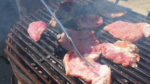 Grilled Juicy Meat Pork Steaks Burning Coals Barbecue Grill Flames — Stock Video