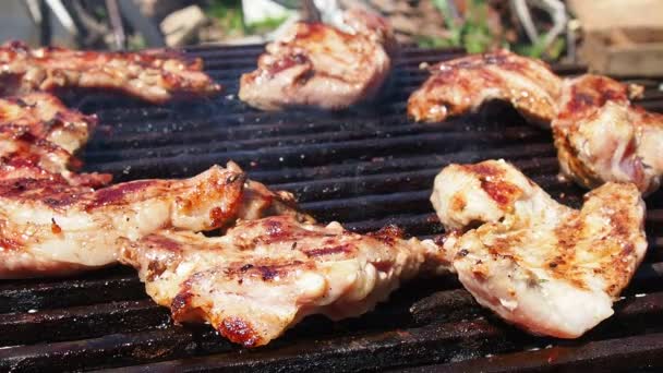 Gegrilde Varkensvlees Steaks Brandende Kolen Een Barbecue Grill Een Picknickfeest — Stockvideo