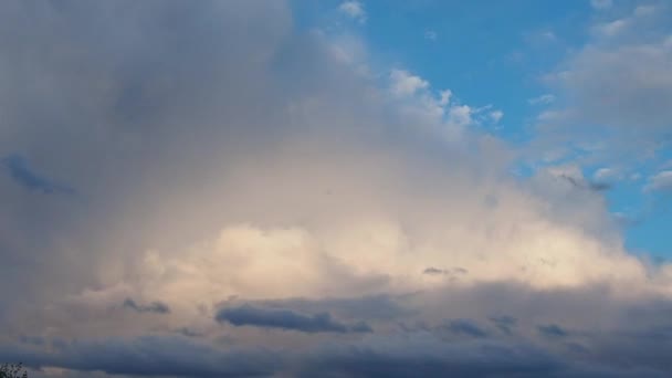 Cumulonimbus Clouds Shower Clouds Thunderclouds Vertically Developed Convective Clouds Form — Stock Video