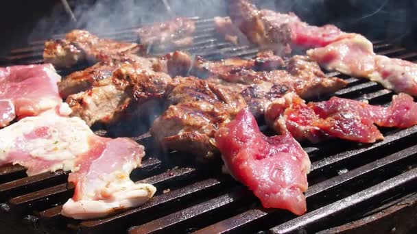 Gegrilde Varkensvlees Steaks Brandende Kolen Een Barbecue Grill Vlammen Rook — Stockvideo