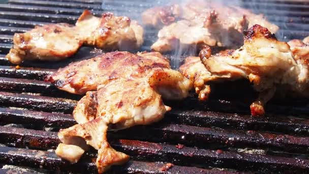 Gegrilde Varkensvlees Steaks Brandende Kolen Een Barbecue Grill Gegrilde Sappige — Stockvideo
