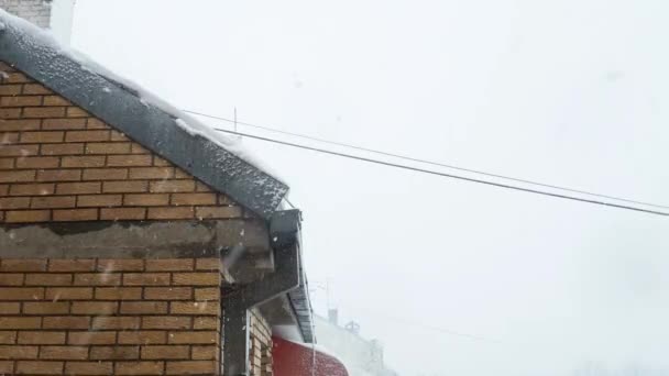 Śnieg Śnieżyca Zimą Sremska Mitrovica Serbia Śnieg Wiruje Wietrze Dachu — Wideo stockowe