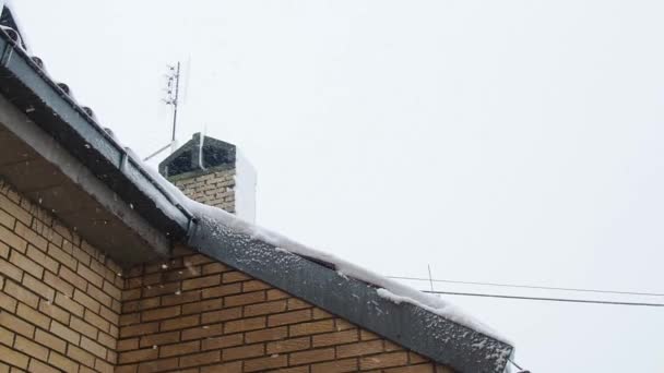 Sníh Sněhová Bouře Zimě Sremska Mitrovica Srbsko Střeše Cihlového Domu — Stock video