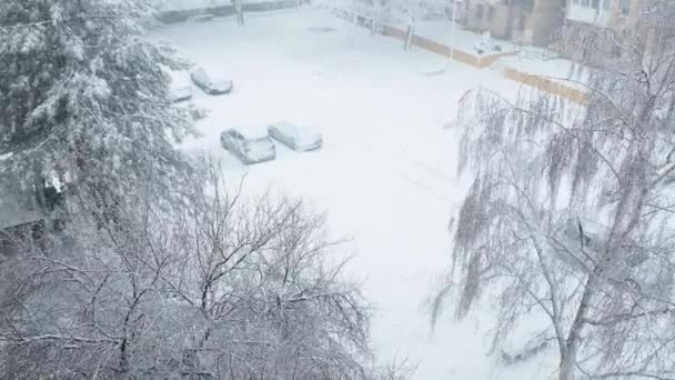 Sremska Mitrovica Servië December 2021 Sneeuwstorm Balkan Zware Sneeuwval Wind — Stockvideo