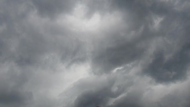 무시무시 토네이도의 샤워기 뇌운은 밀도가 회색빛 기단의 형태로 수직으로 구름이다 — 비디오