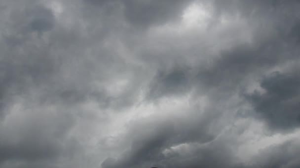 ひどい風が吹く 竜巻の発生 積乱雲 シャワー雲 雷雲は 濃い灰色または黒のベースを持つ高密度の塊の形で垂直方向に開発された対流雲です — ストック動画