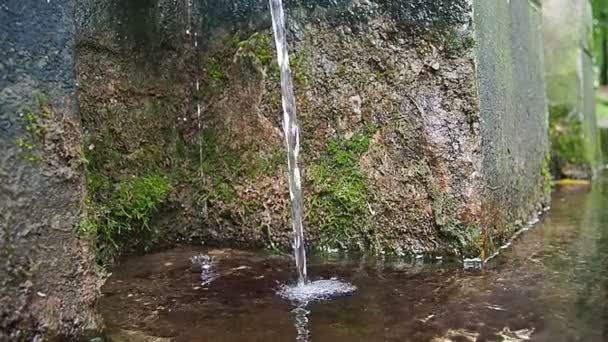 Banja Koviljaca Service Guchevo Loznica 春の3つのソース Guchevo山から流れるミネラル天然水を癒します 苔と岩の上に地衣類 水が落ちる スローモーション — ストック動画